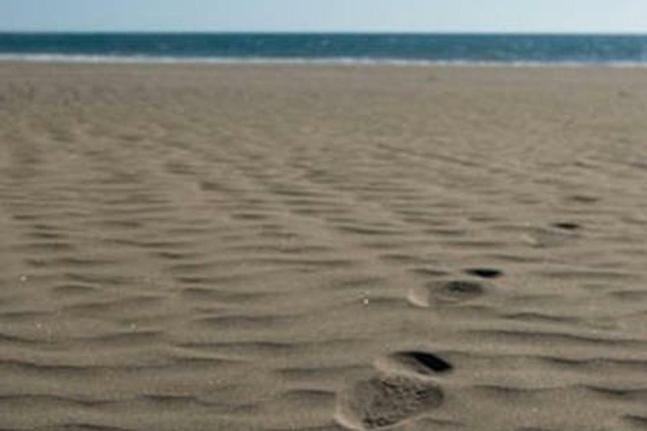 Primera Linea De Playa De Las Burras San Agustín المظهر الخارجي الصورة